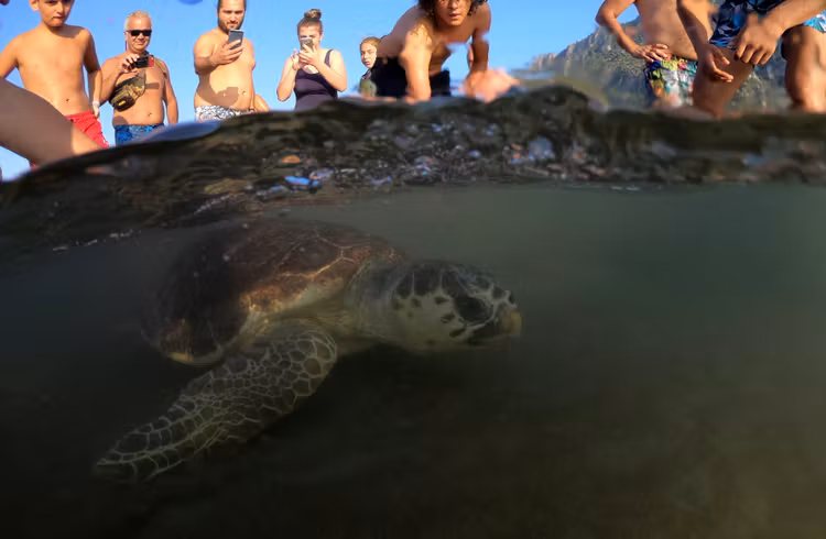 Tourisme de masse {index}